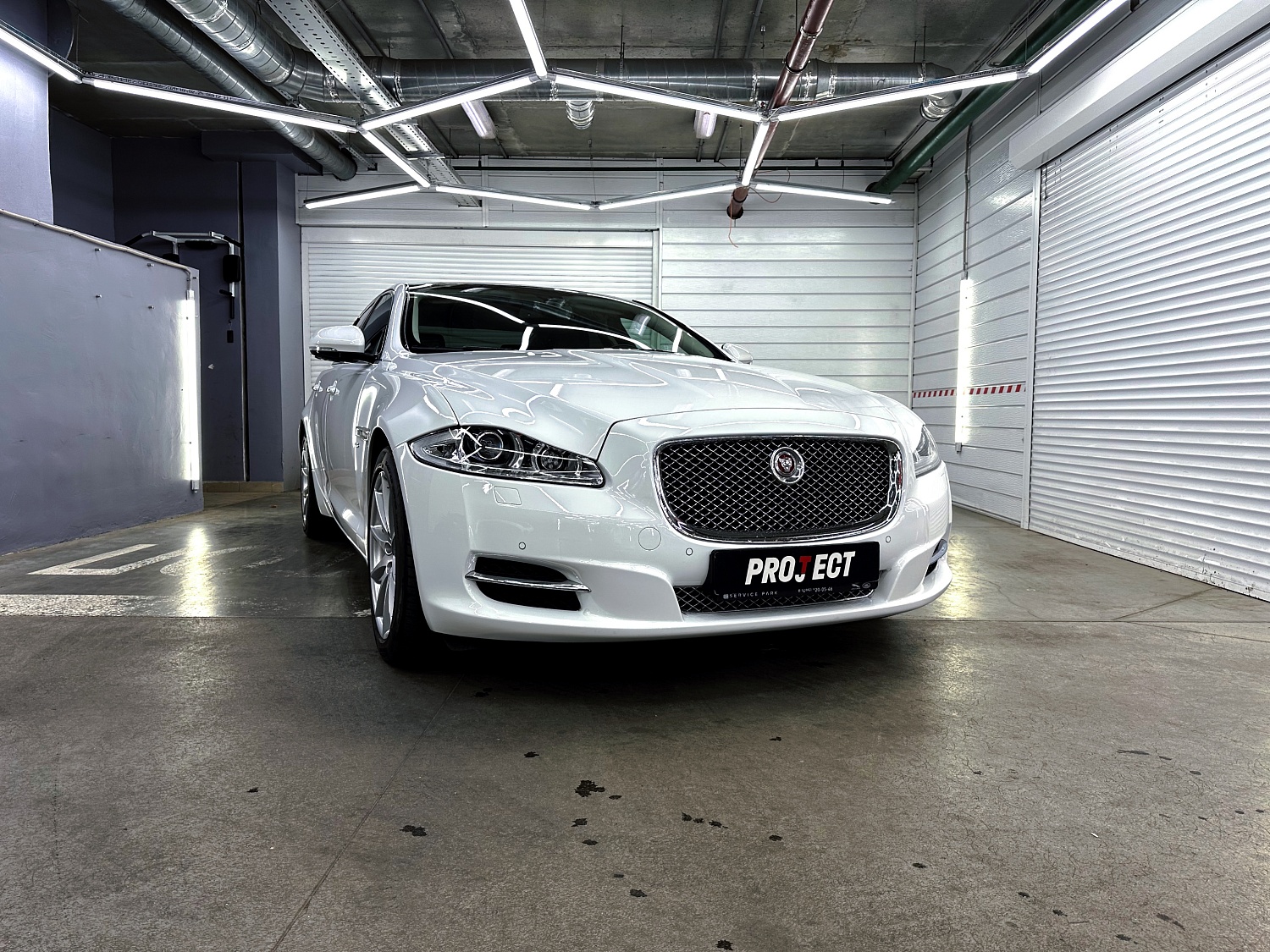 Jaguar - красота в деталях