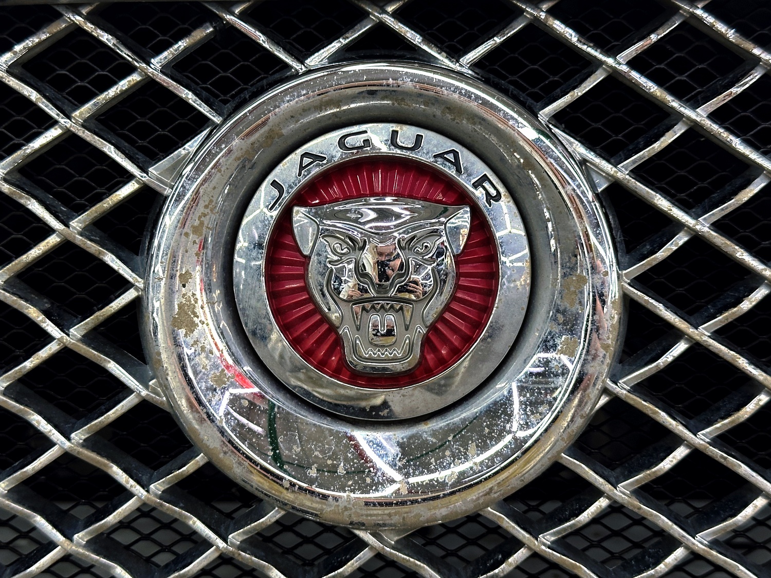 Jaguar - красота в деталях