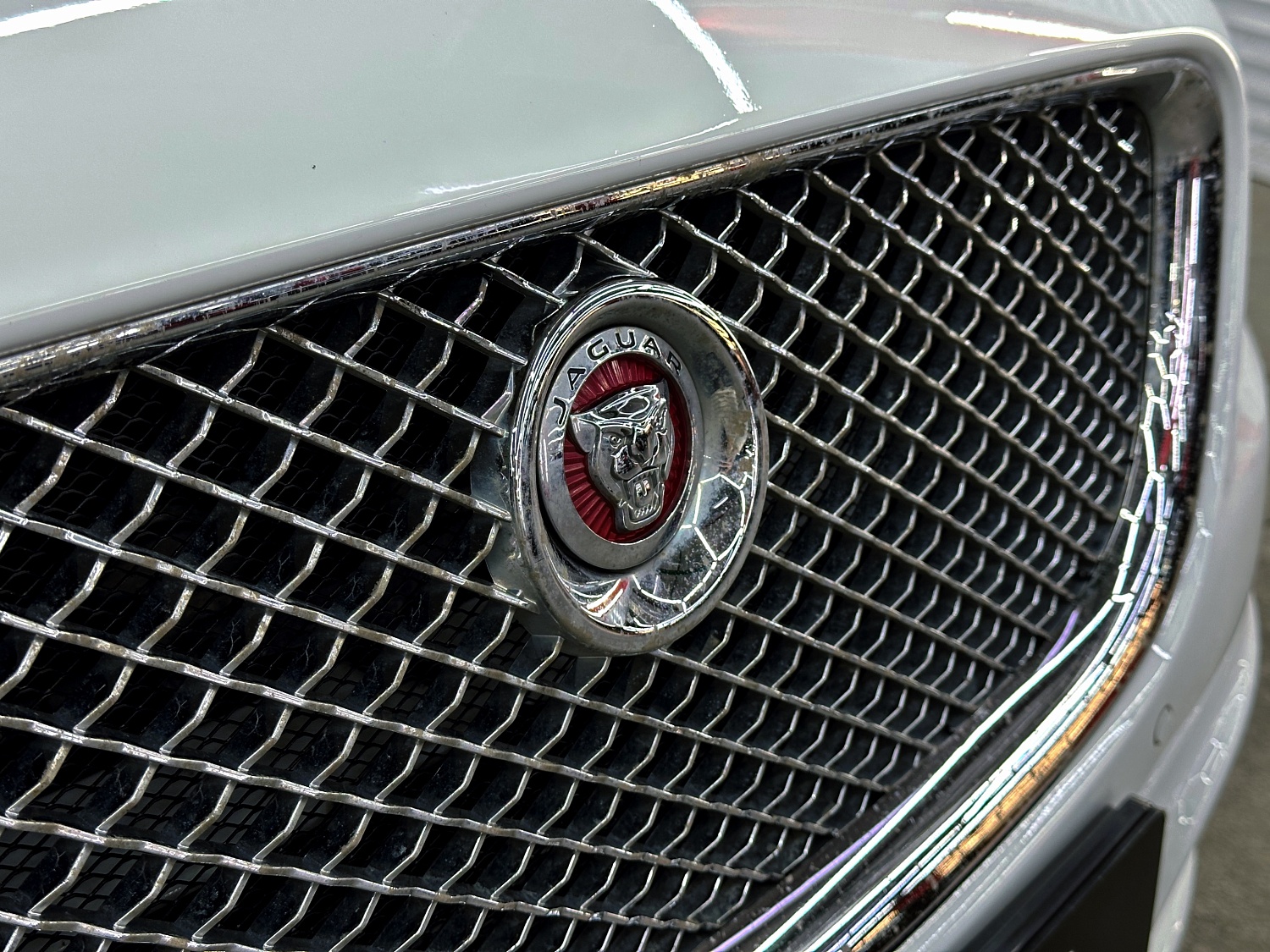 Jaguar - красота в деталях