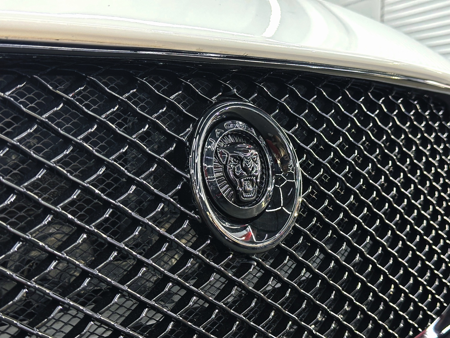 Jaguar - красота в деталях