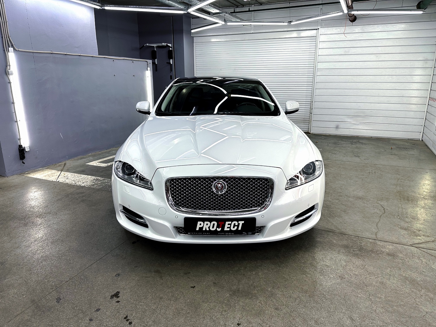 Jaguar - красота в деталях