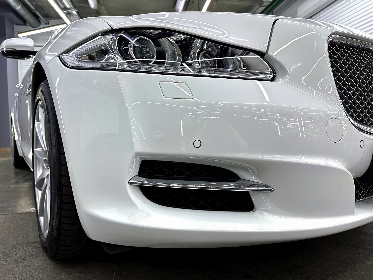 Jaguar - красота в деталях
