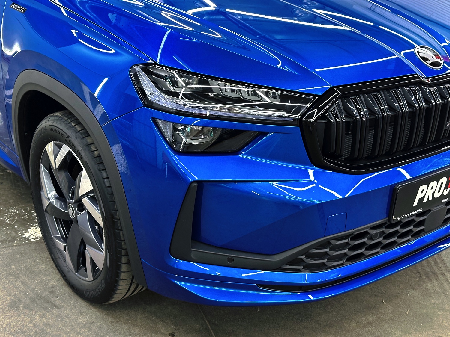 Защита зон риска на Skoda Kodiaq